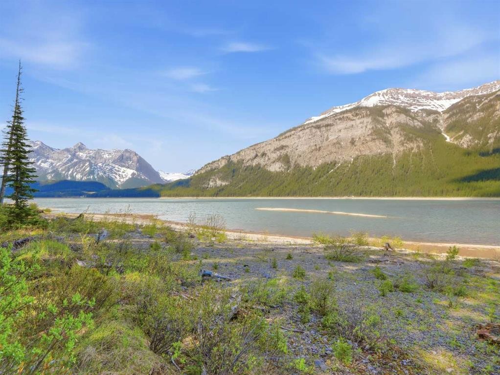 









46


Lake Shore Drive

,
Rural Kananaskis ID,




AB
T1W1A1


