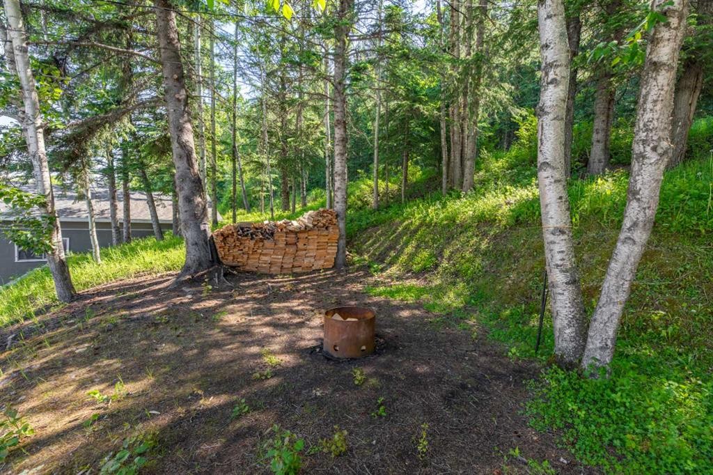 









153


Alder

Drive,
Hinton,




AB
T7V 1C9

