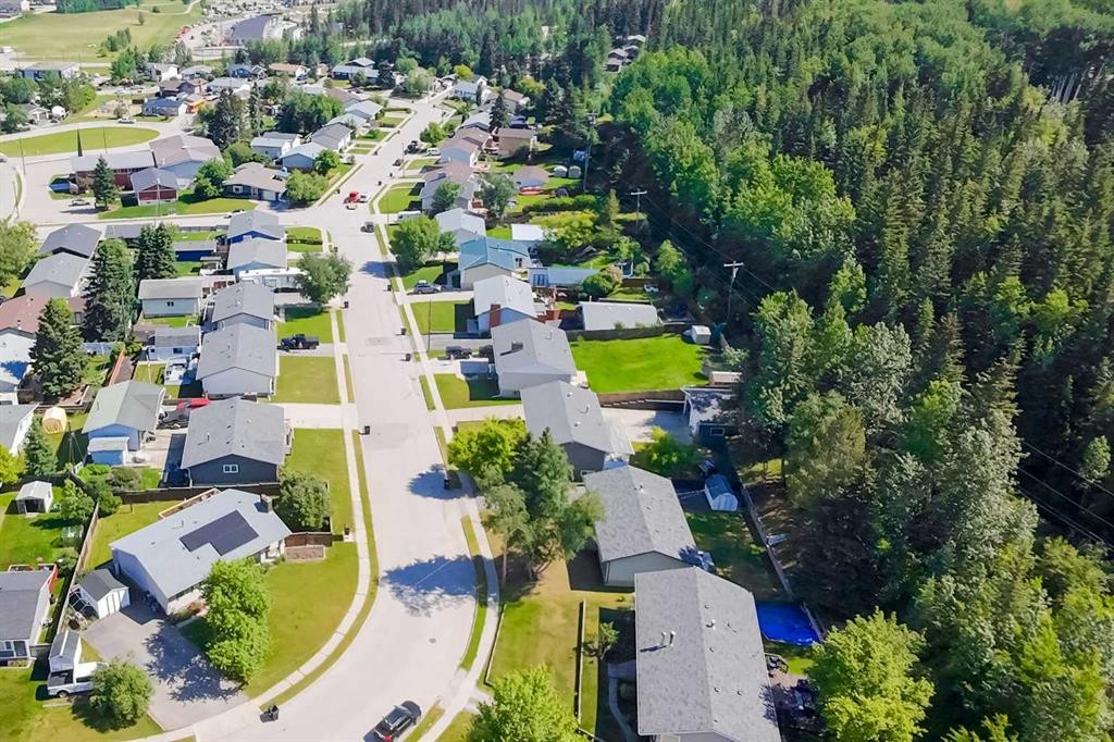 









153


Alder

Drive,
Hinton,




AB
T7V 1C9

