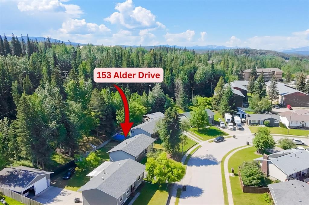 









153


Alder

Drive,
Hinton,




AB
T7V 1C9

