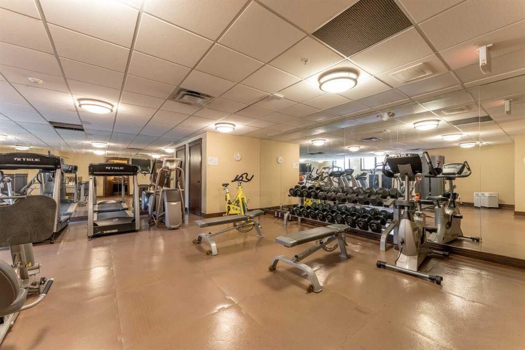 









101E


Stewart Creek

Landing, 5102,
Canmore,




AB
T1W 0E3

