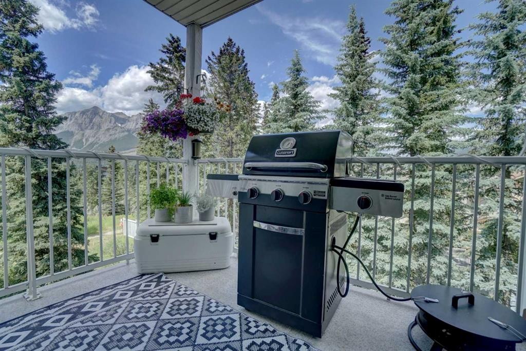 









1080C


Cougar Creek

Drive, 209,
Canmore,




AB
T1W2X9

