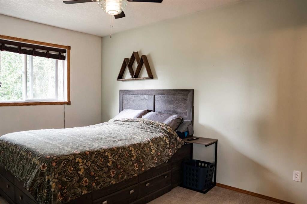 









382


Skogg

Avenue,
Hinton,




AB
T7V 1A8

