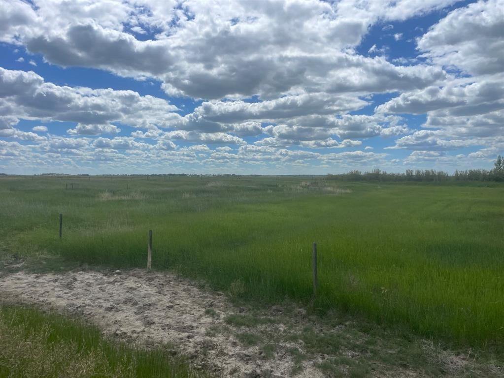 









HWY 550 & RR155


RR155

,
Rural Newell, County of,







AB
T0J0B5

