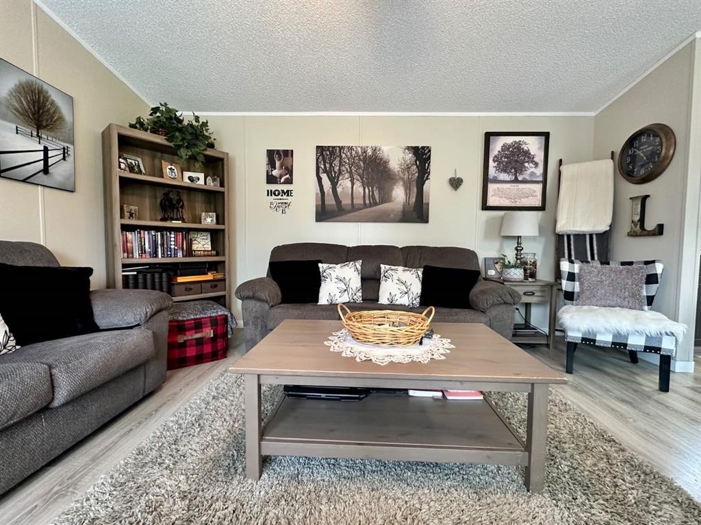 









205


Blue Heron

Road,
Rural Newell, County of,




AB
T1R 0S1

