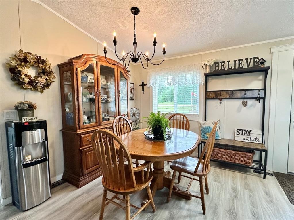 









205


Blue Heron

Road,
Rural Newell, County of,




AB
T1R 0S1

