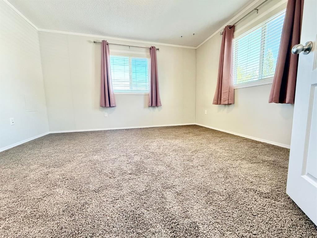 









144


Birch

Street West,
Brooks,




AB
T1R 1H8

