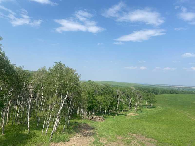 









64228


306

Avenue West,
Rural Foothills County,




AB
T1S 7A6

