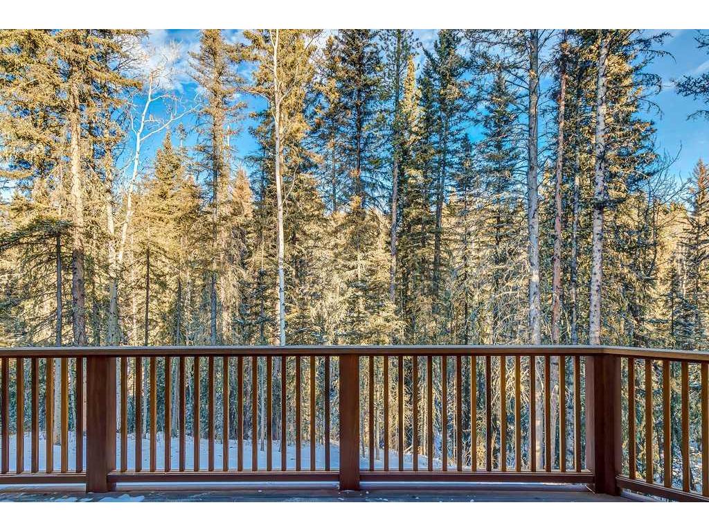 









212


Hawks Landing

Rise,
Priddis Greens,




AB
T0L 1W0

