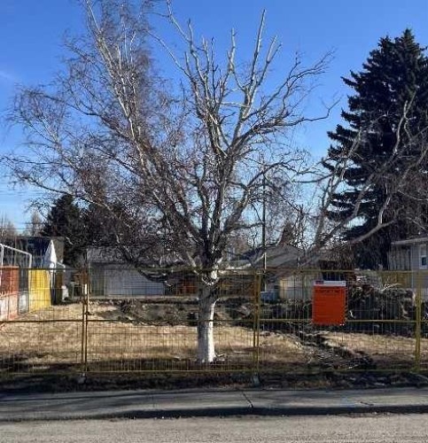 Featured Listing Photo 