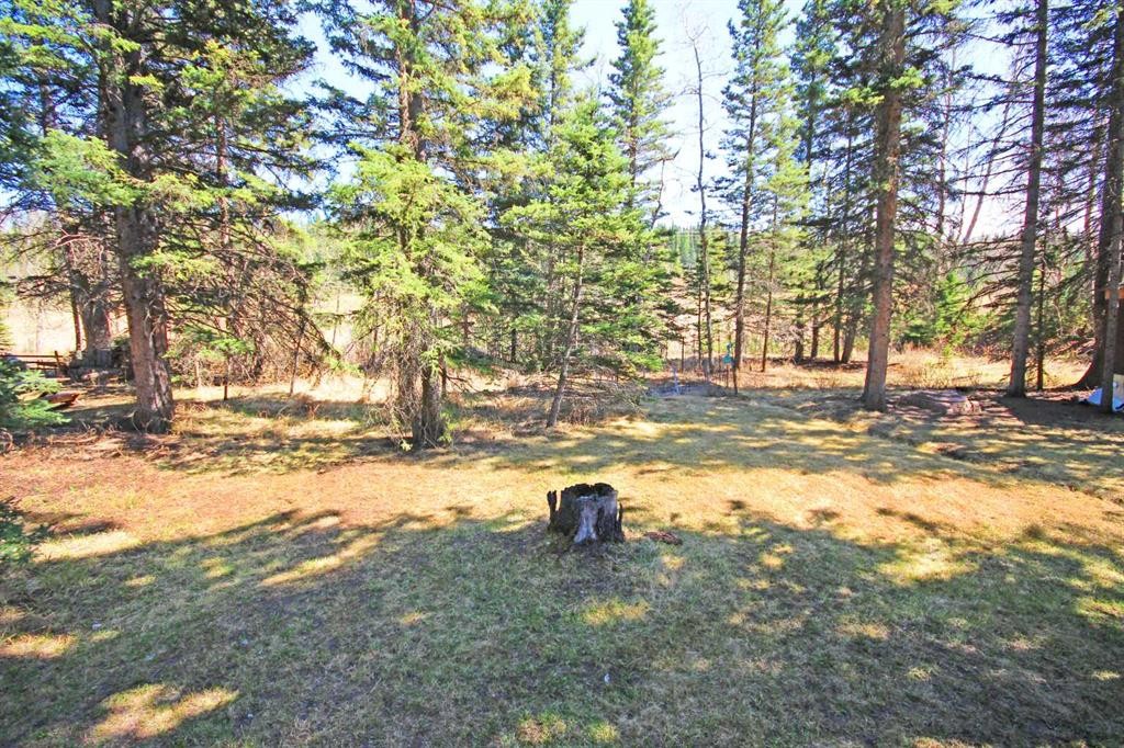 









67


Manyhorses

Drive,
Rural Rocky View County,




AB
T3Z 1A1

