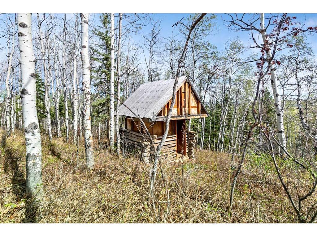 









378084


232

Street West,
Rural Foothills County,




AB
T0L 2A0

