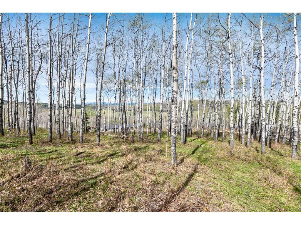 









378084


232

Street West,
Rural Foothills County,




AB
T0L 2A0

