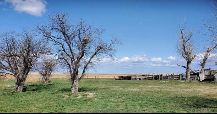 









142043B


RR254

,
Rural Willow Creek No. 26, M.D. of,




AB
T0L 1Z0

