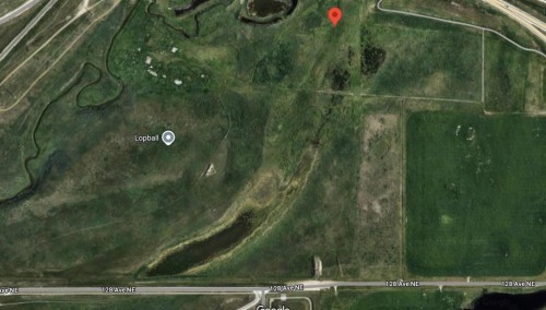 
															
													13105
													
													24
													Street
												
												Calgary,
												AB 