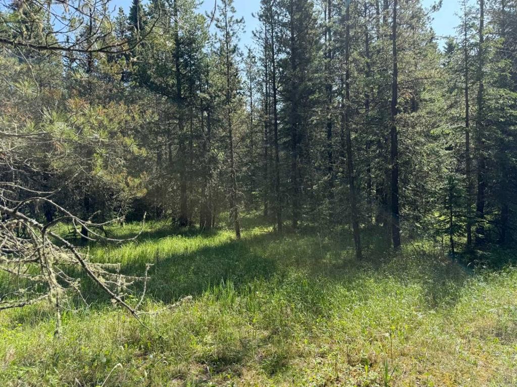 









282226


Range Road 54A

,
Rural Rocky View County,




AB
T4C 2W1

