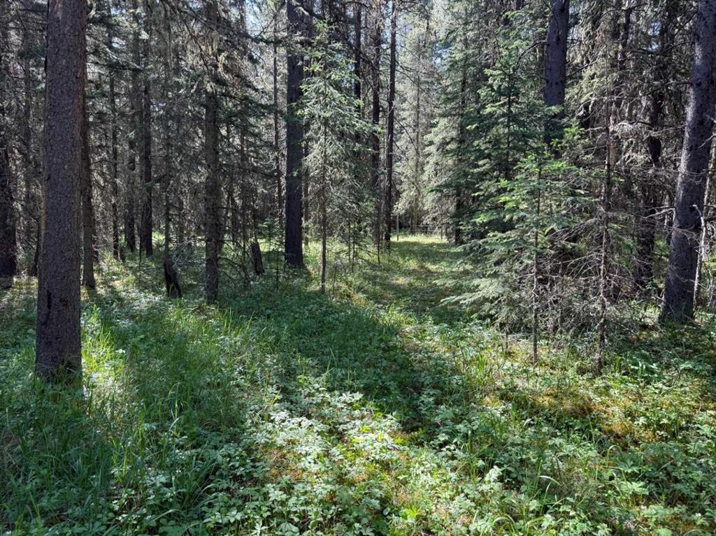 









282226


Range Road 54A

,
Rural Rocky View County,




AB
T4C 2W1

