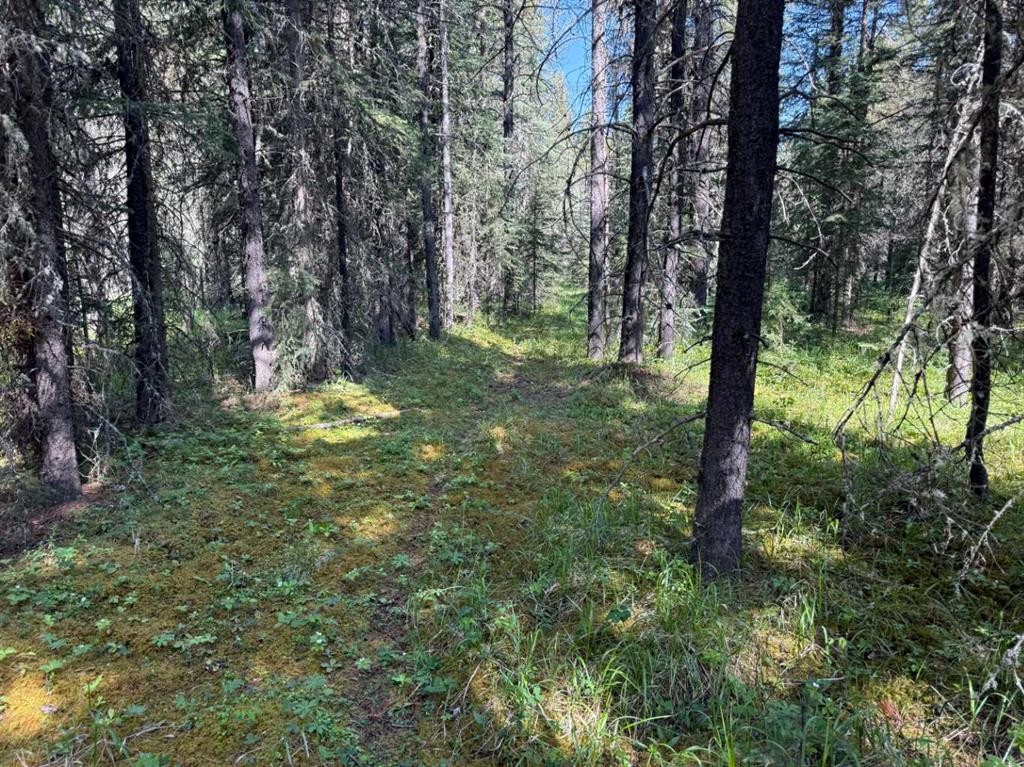 









282226


Range Road 54A

,
Rural Rocky View County,




AB
T4C 2W1

