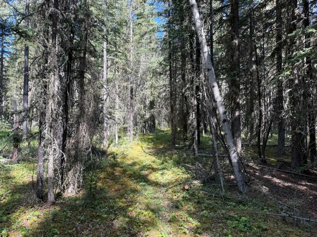 









282226


Range Road 54A

,
Rural Rocky View County,




AB
T4C 2W1

