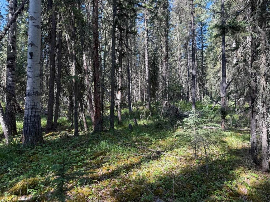 









282226


Range Road 54A

,
Rural Rocky View County,




AB
T4C 2W1

