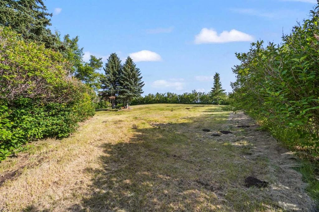 









290099


1016

Drive East,
Rural Foothills County,




AB
T1S 1A2

