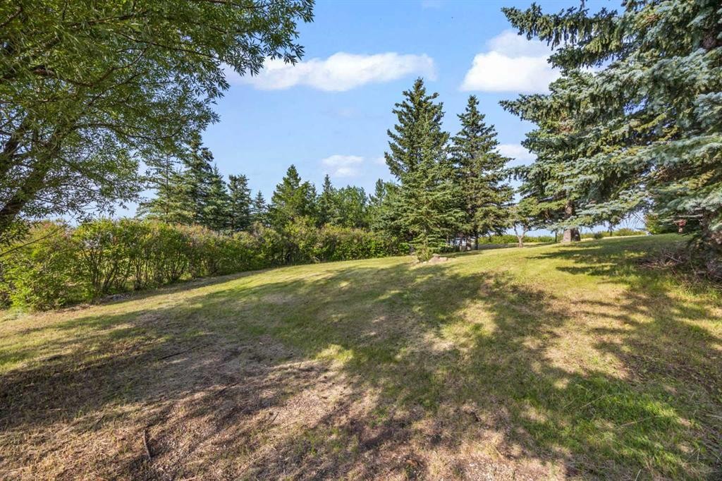 









290099


1016

Drive East,
Rural Foothills County,




AB
T1S 1A2

