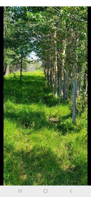 









385057A


RGE RD 4-3

Street,
Rural Clearwater County,







AB
T0M 0X0

