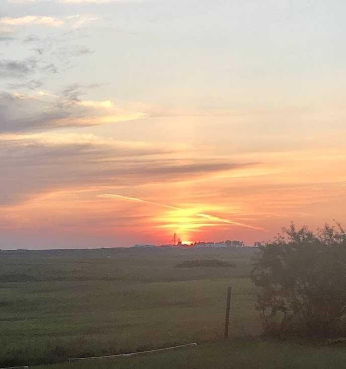 









245042


Range Road 251

Range,
Rural Wheatland County,




AB
T0J0P1

