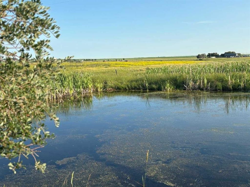 









245042


Range Road 251

Range,
Rural Wheatland County,




AB
T0J0P1

