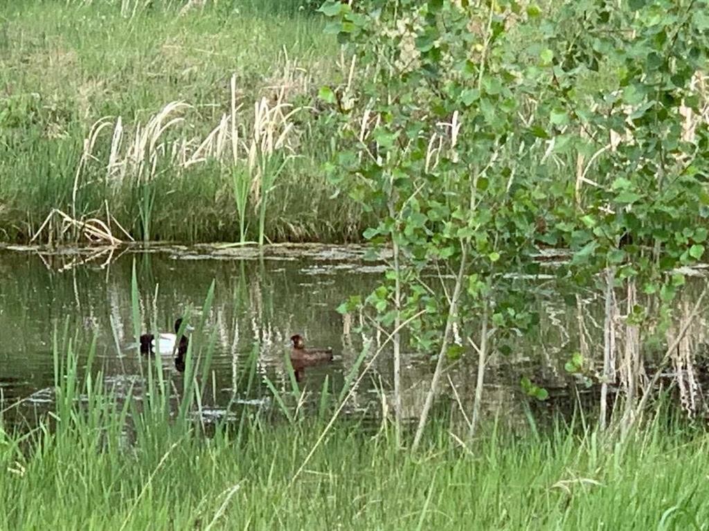 









245042


Range Road 251

Range,
Rural Wheatland County,




AB
T0J0P1

