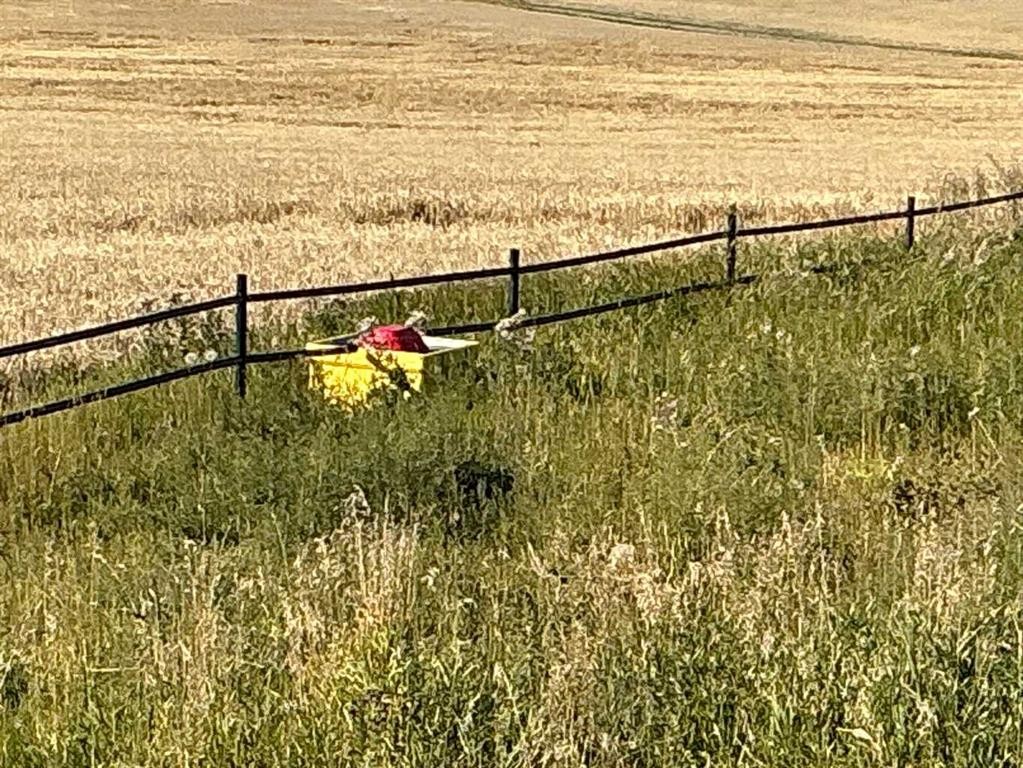 












450002 Highway 22

Highway, 200,
Rural Foothills County,




AB
T0L 0H0


