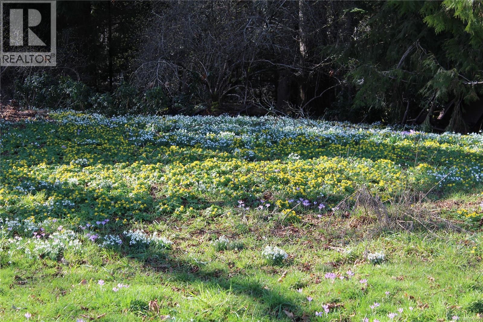 












7028 Westholme Rd

,
Westholme,




British Columbia
V9L6B4

