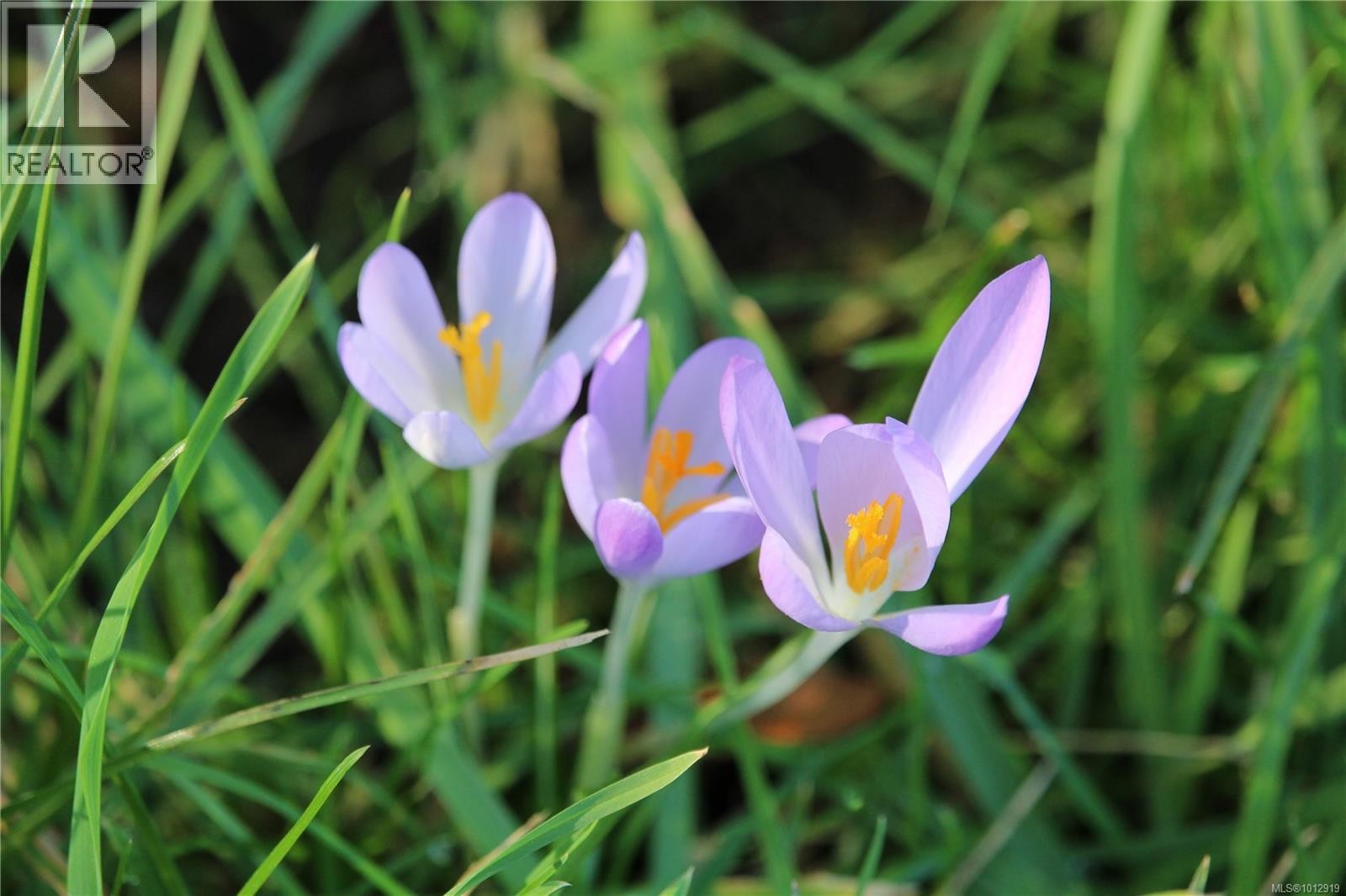 












7028 Westholme Rd

,
Westholme,




British Columbia
V9L6B4

