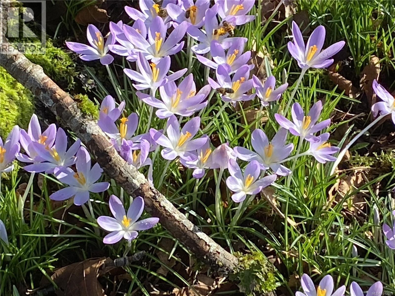 












7028 Westholme Rd

,
Westholme,




British Columbia
V9L6B4

