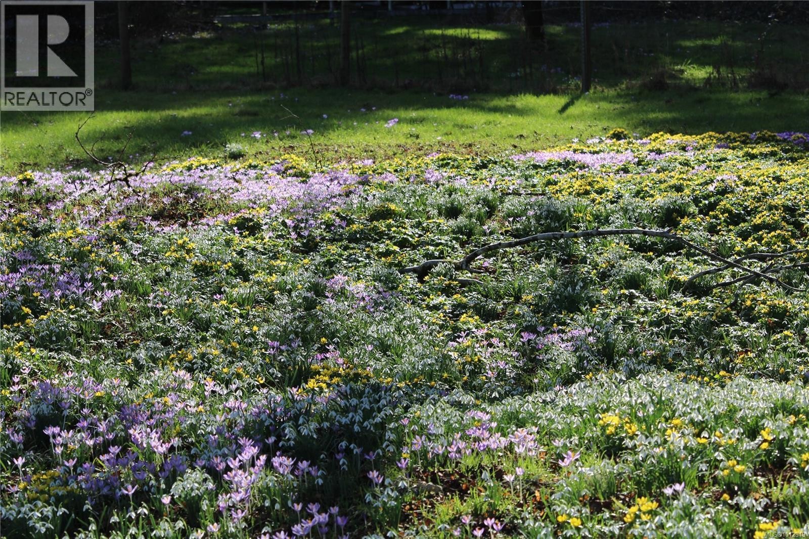 












7028 Westholme Rd

,
Westholme,




British Columbia
V9L6B4

