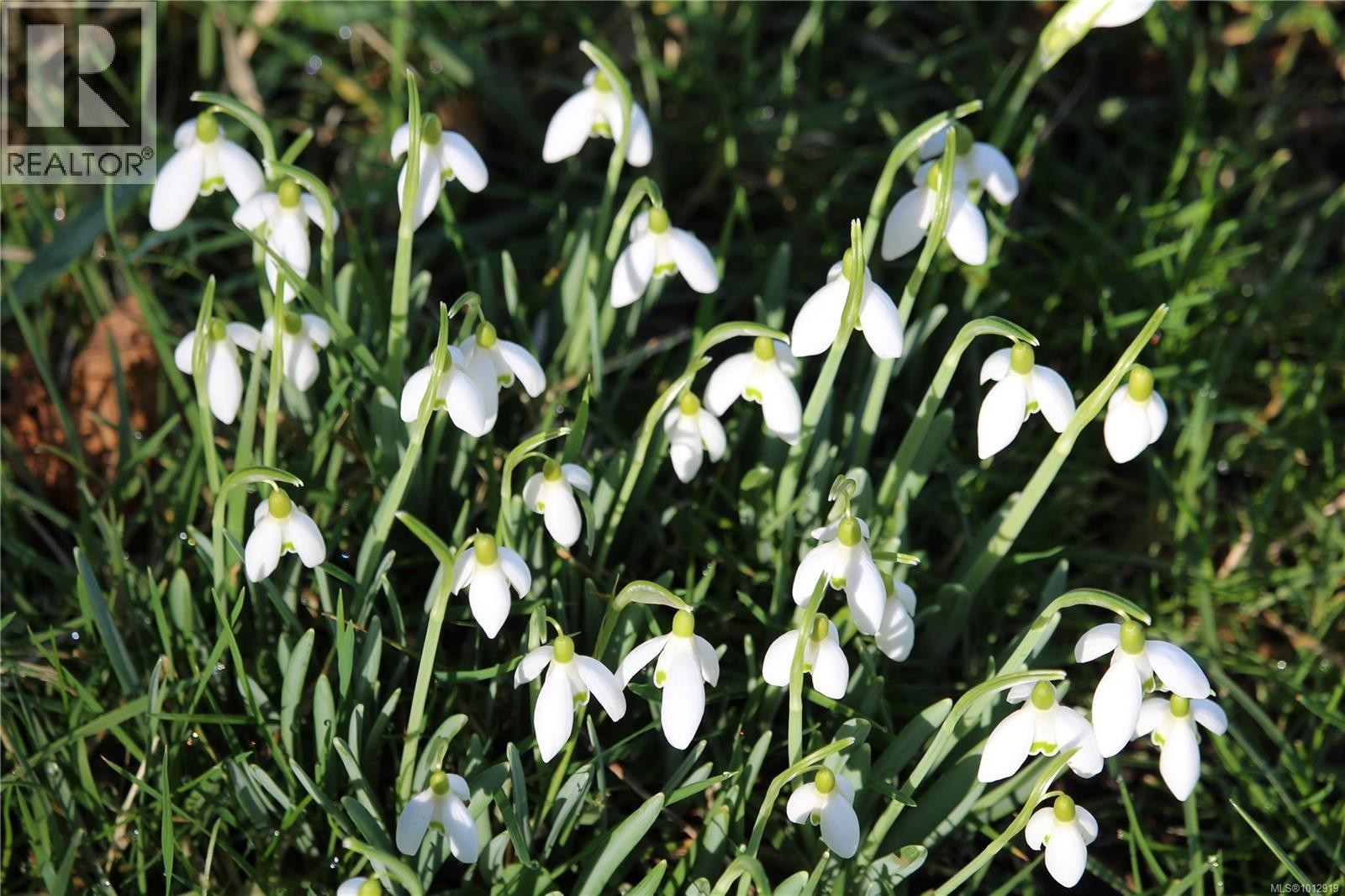 












7028 Westholme Rd

,
Westholme,




British Columbia
V9L6B4

