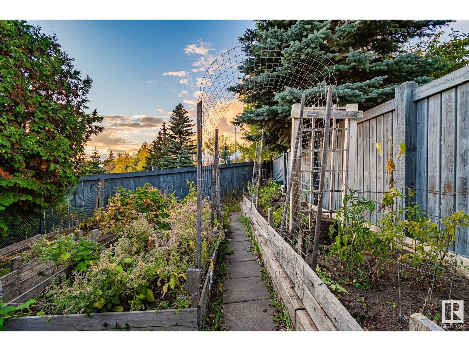 












3720 32 ST NW

,
Edmonton,




Alberta
T6T1G1

