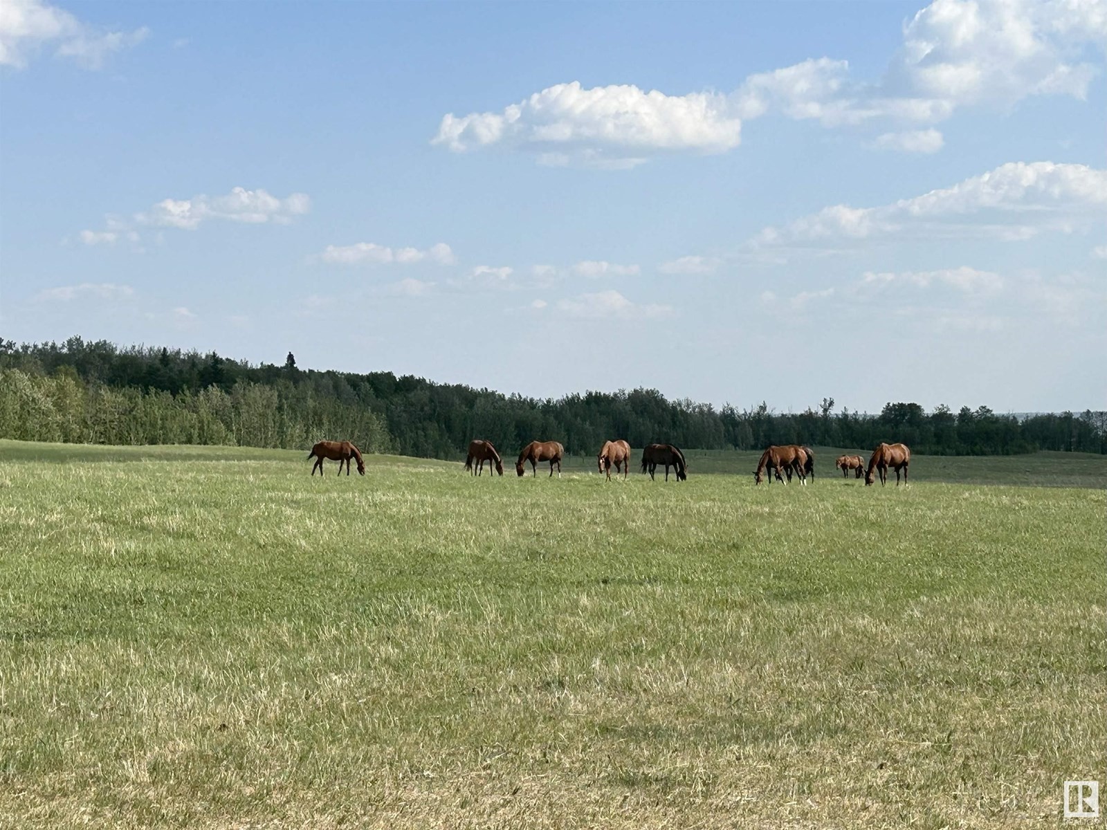 












22037 TWP ROAD 520

,
Rural Strathcona County,




Alberta
T8A1A6


