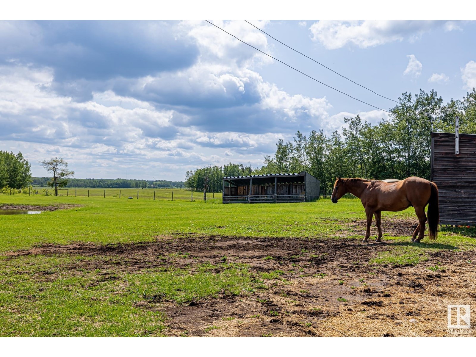 












22037 TWP ROAD 520

,
Rural Strathcona County,




Alberta
T8A1A6

