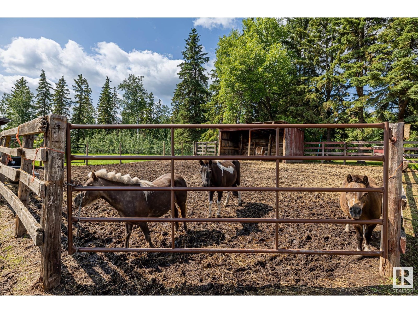 












22037 TWP ROAD 520

,
Rural Strathcona County,




Alberta
T8A1A6

