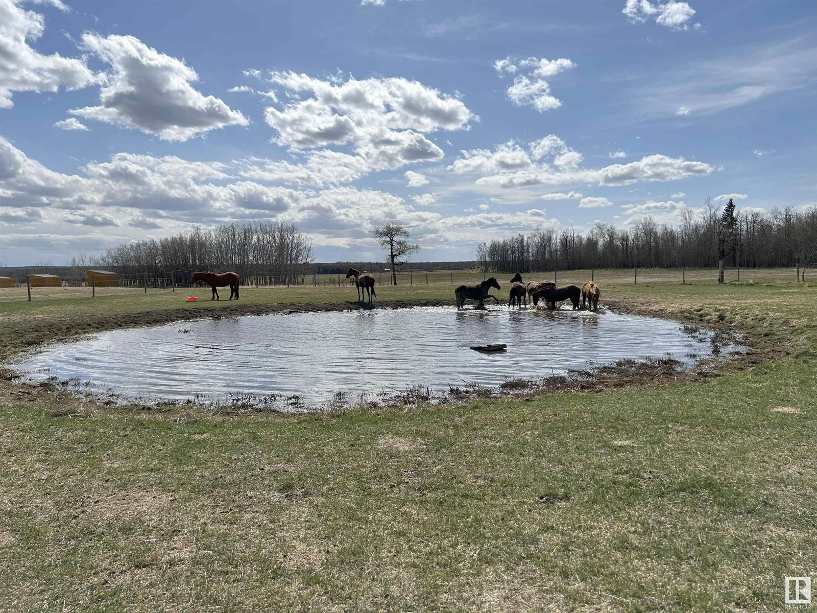 












22037 TWP ROAD 520

,
Rural Strathcona County,




Alberta
T8A1A6

