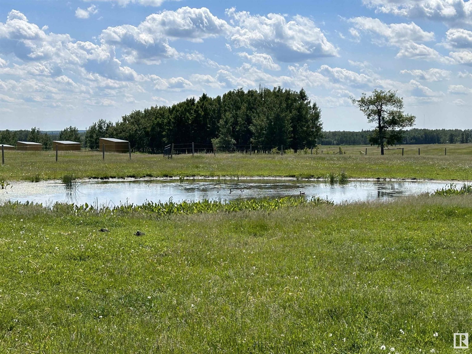 












22037 TWP ROAD 520

,
Rural Strathcona County,




Alberta
T8A1A6

