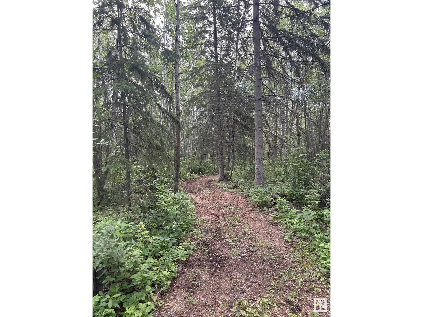 












22037 TWP ROAD 520

,
Rural Strathcona County,




Alberta
T8A1A6

