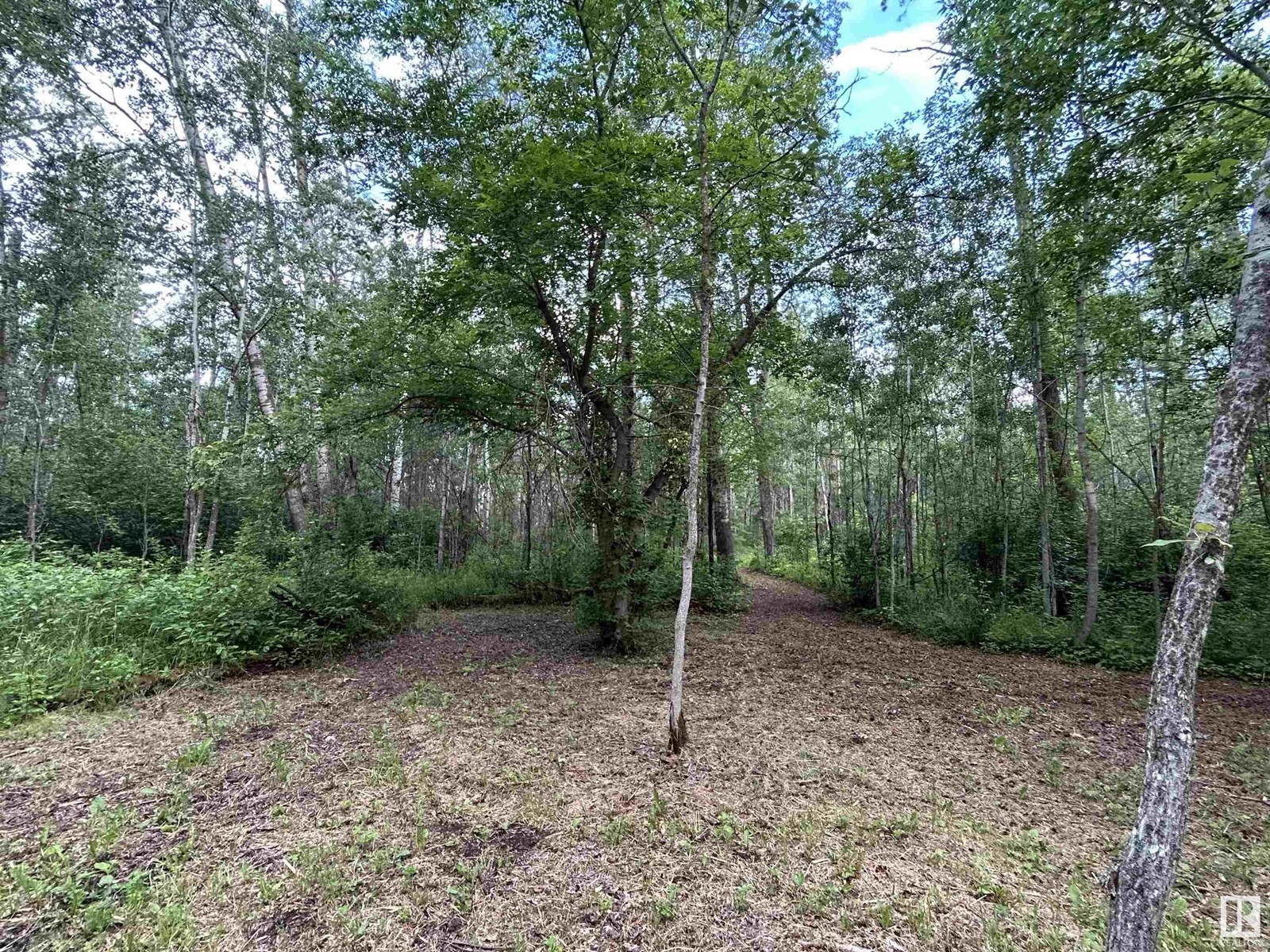 












22037 TWP ROAD 520

,
Rural Strathcona County,




Alberta
T8A1A6

