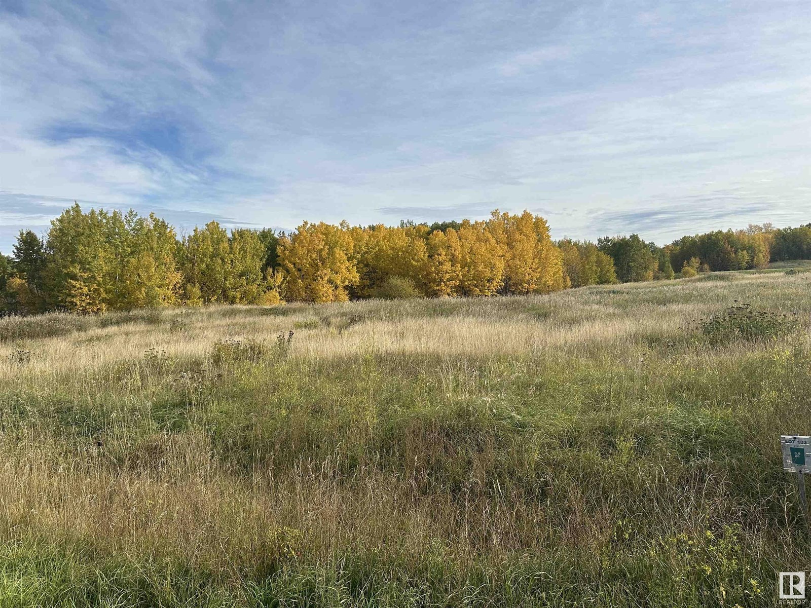 












54419 RGE ROAD 14

,
Rural Lac Ste. Anne County,







Alberta
T0E0J0

