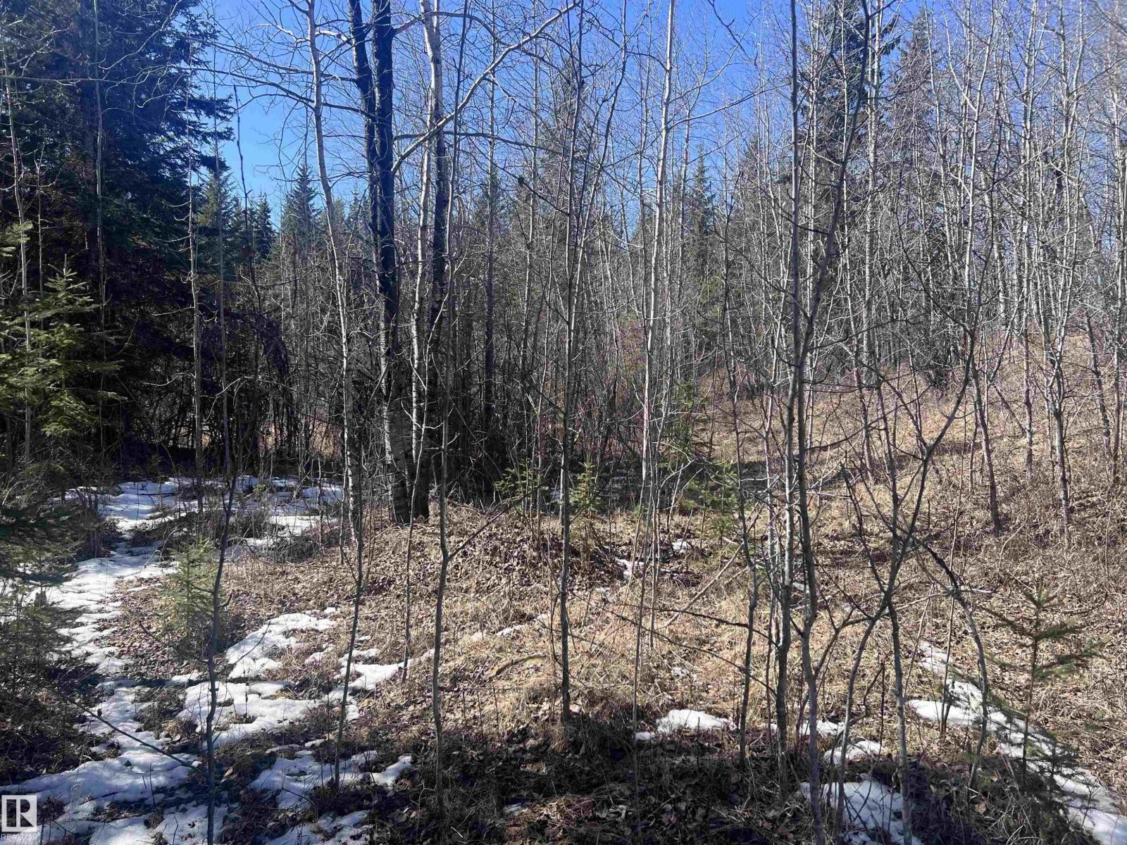 












4-23-63-17 SE

,
Rural Athabasca County,







Alberta
T0A0M0

