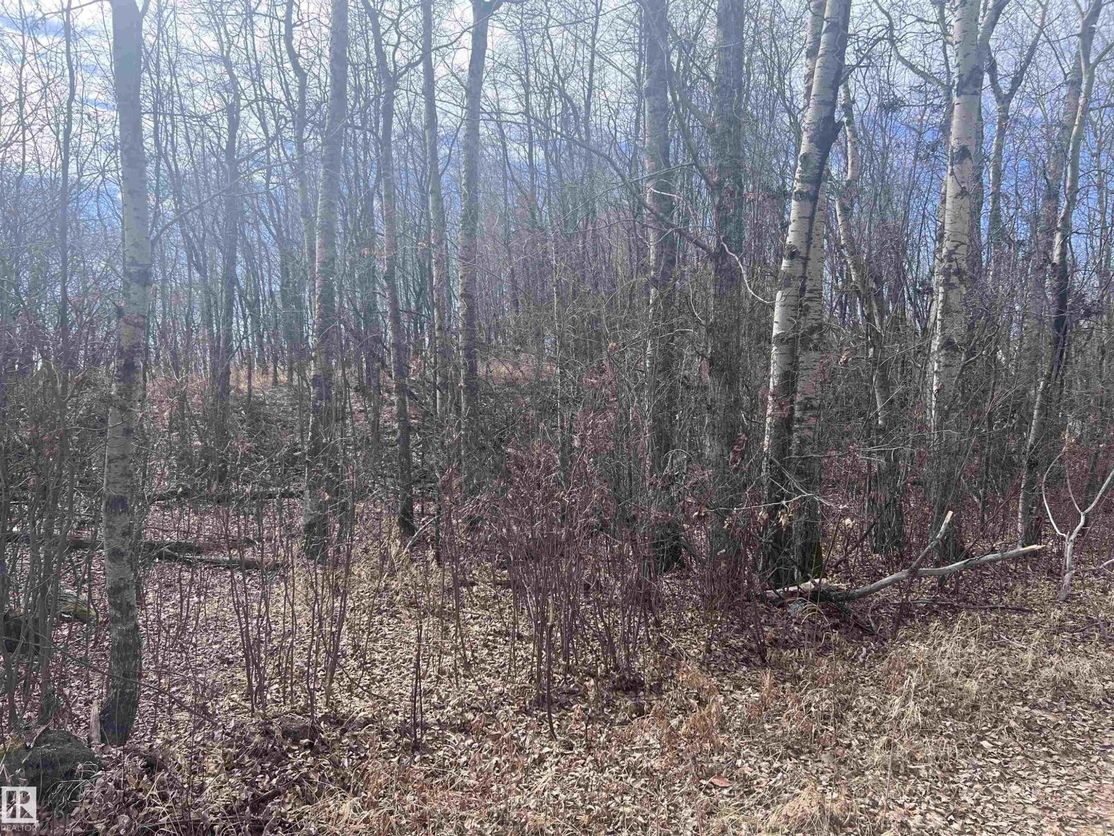 












4-23-63-17 SE

,
Rural Athabasca County,







Alberta
T0A0M0

