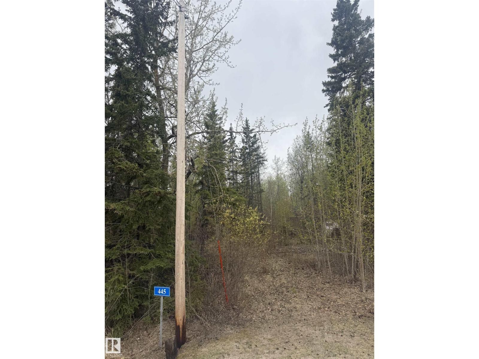 












445 Lakeview DR

,
Rural Lac Ste. Anne County,







Alberta
T0E1V0

