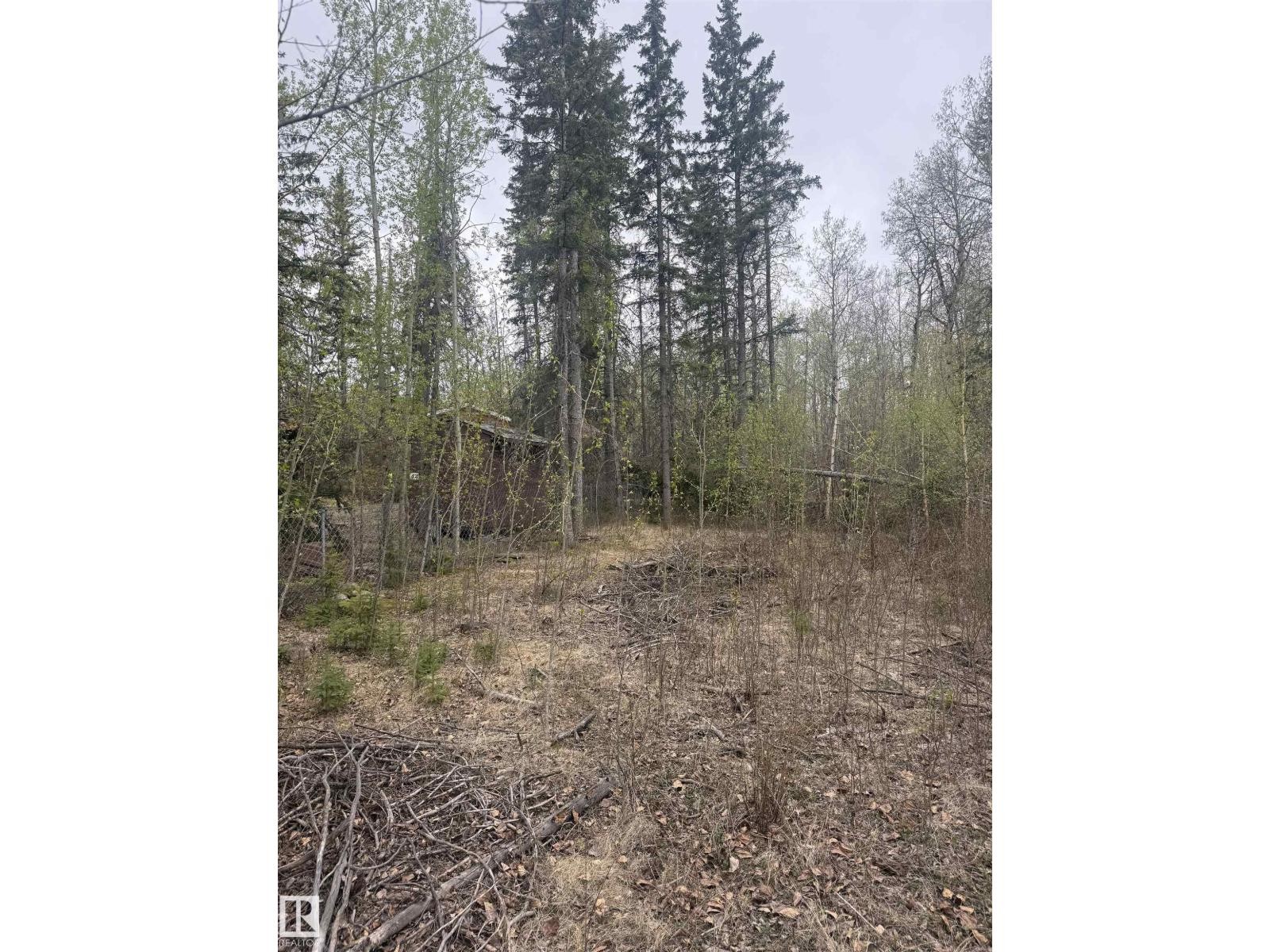












445 Lakeview DR

,
Rural Lac Ste. Anne County,







Alberta
T0E1V0

