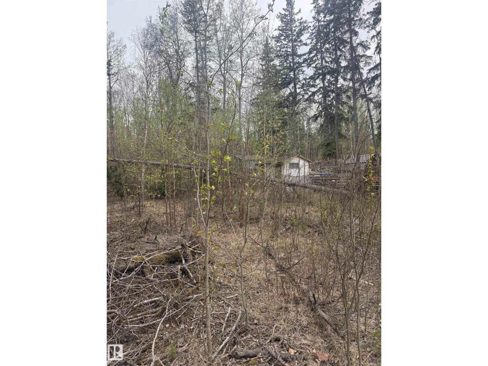 












445 Lakeview DR

,
Rural Lac Ste. Anne County,







Alberta
T0E1V0

